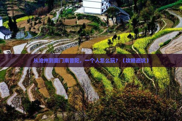 沧州去厦门南普陀个人游
