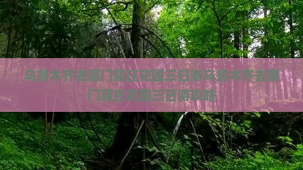 乌鲁木齐去厦门菽庄花园三日游