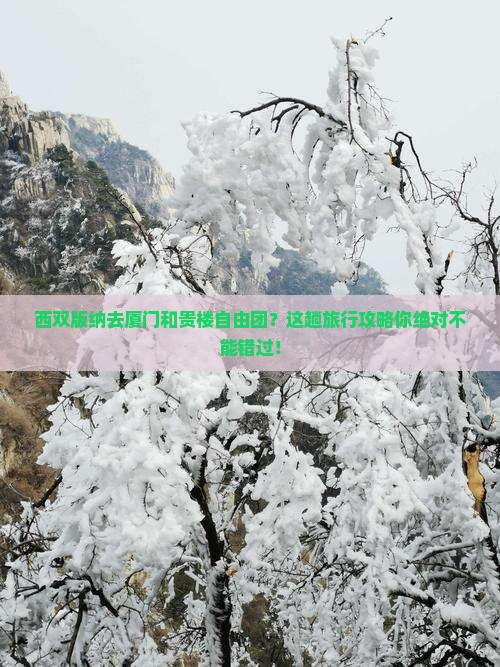 西双版纳去厦门和贵楼自由团