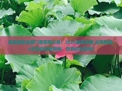 昌都去厦门南普陀哪里玩