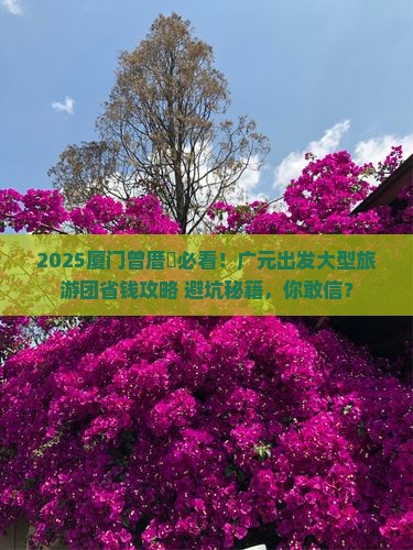 广元去厦门曾厝埯大型旅游团