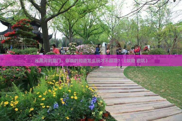 黑河到厦门旅游