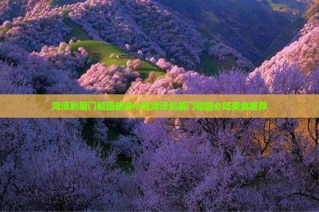 菏泽到厦门毓园旅游小吃
