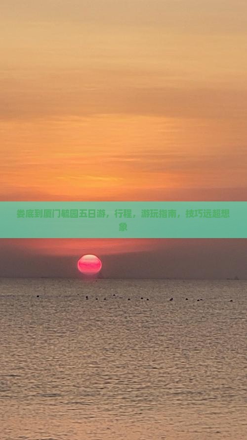 娄底到厦门毓园五日游