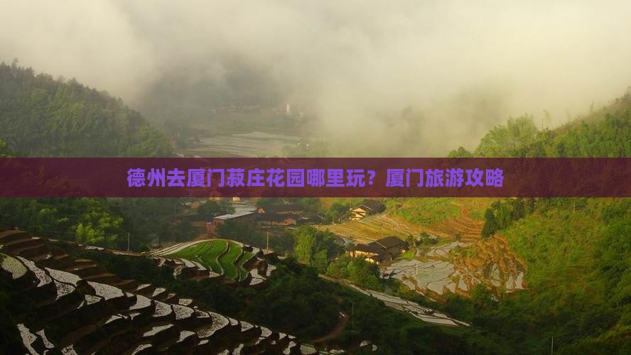 德州去厦门菽庄花园哪里玩