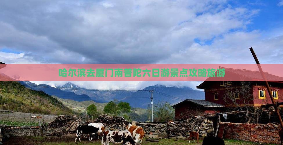 哈尔滨去厦门南普陀六日游