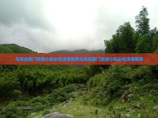 乌海去厦门旅游小吃