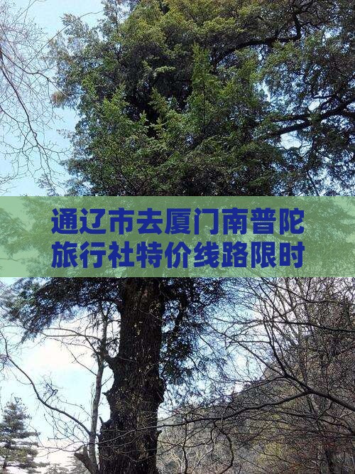通辽市去厦门南普陀旅行社 通辽市去厦门南普陀旅行社