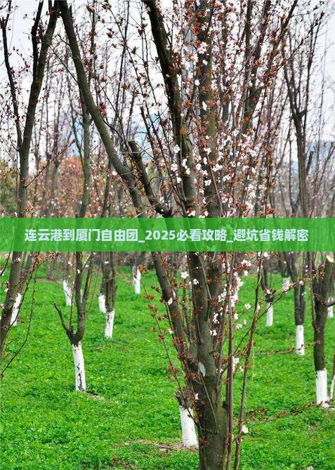 连云港到厦门自由团