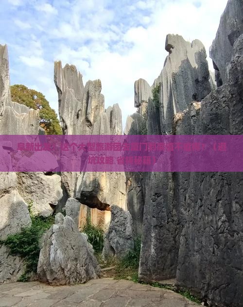 阜新到厦门大型旅游团