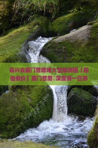 嘉兴去厦门曾厝埯大型旅游团