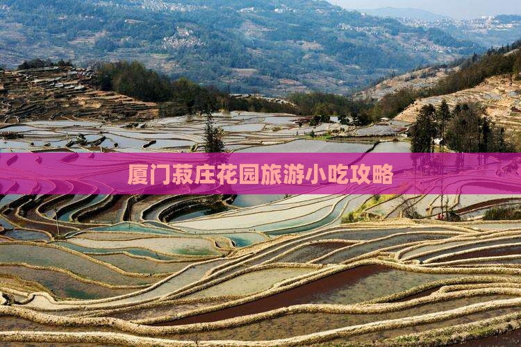 广州去厦门菽庄花园旅游小吃