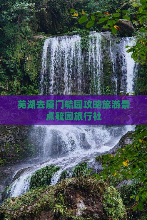芜湖去厦门毓园旅行社