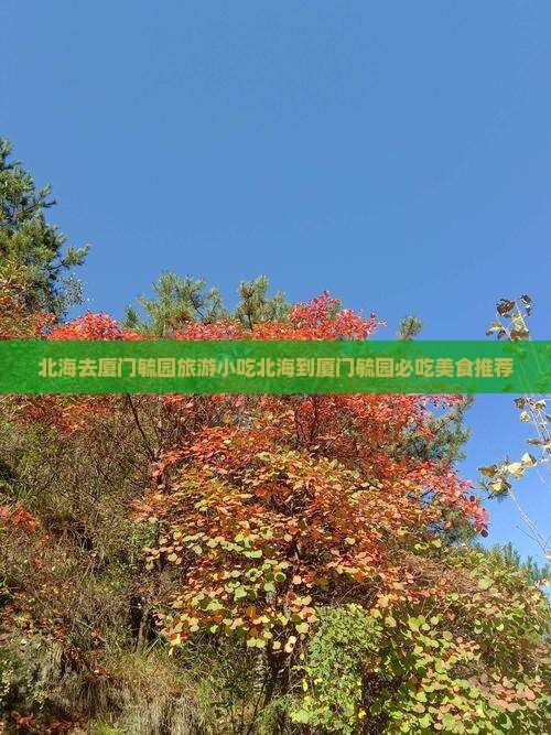 北海去厦门毓园旅游小吃