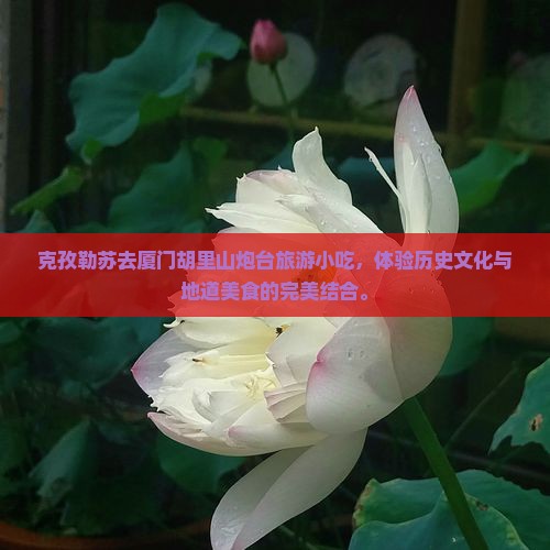 克孜勒苏去厦门胡里山炮台旅游小吃