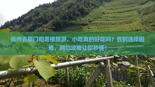 扬州去厦门和贵楼旅游小吃