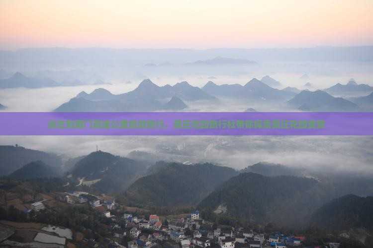 崇左到厦门菽庄花园旅行社