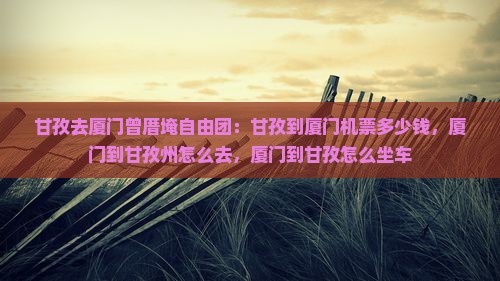 甘孜去厦门曾厝埯自由团