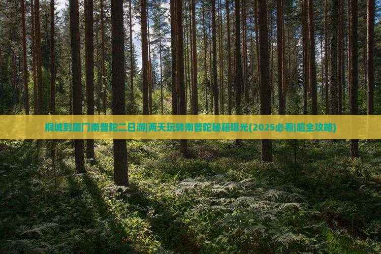 桐城到厦门南普陀二日游