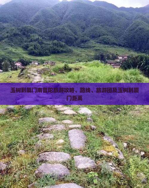玉树到厦门南普陀旅游