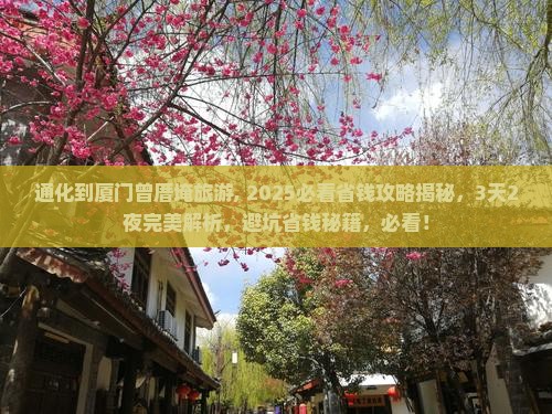 通化到厦门曾厝埯旅游