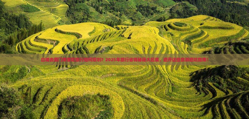 白城去厦门南普陀旅行社