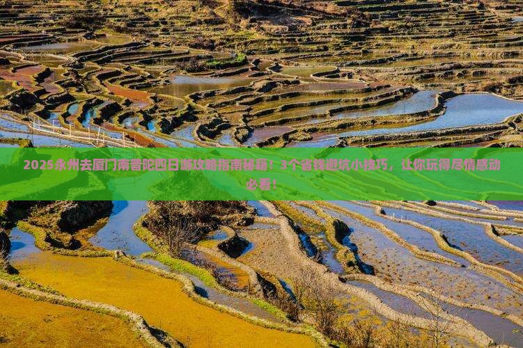 永州去厦门南普陀四日游