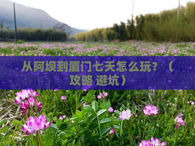 阿坝去厦门七日游