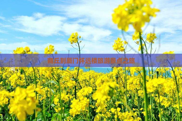 商丘到厦门怀远楼旅行社