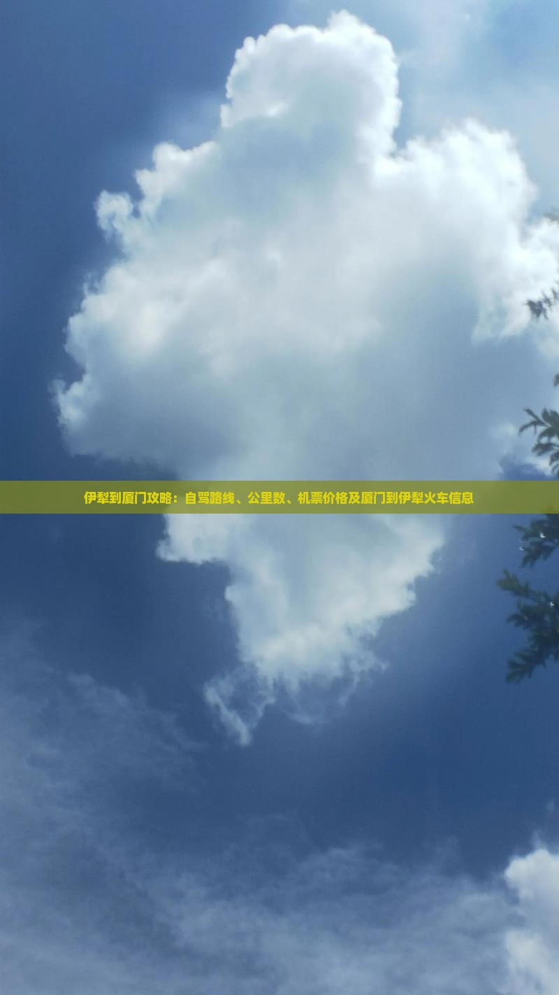 伊犁到厦门攻略