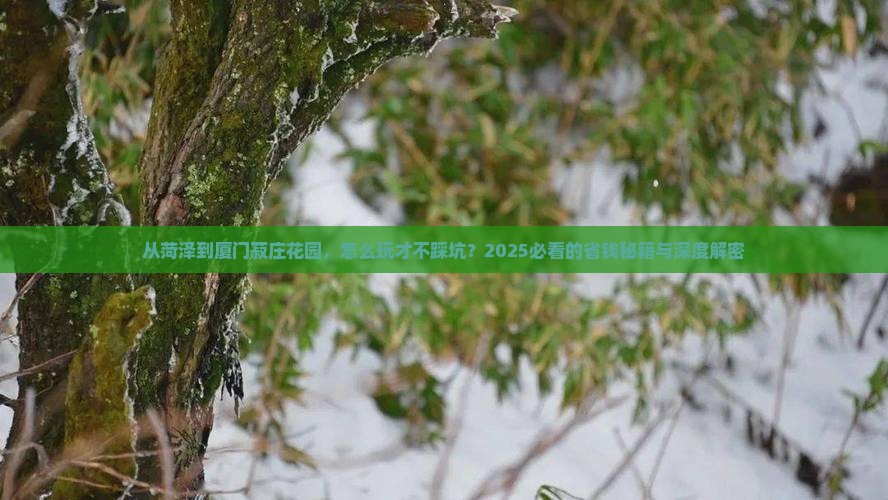 菏泽去厦门菽庄花园攻略