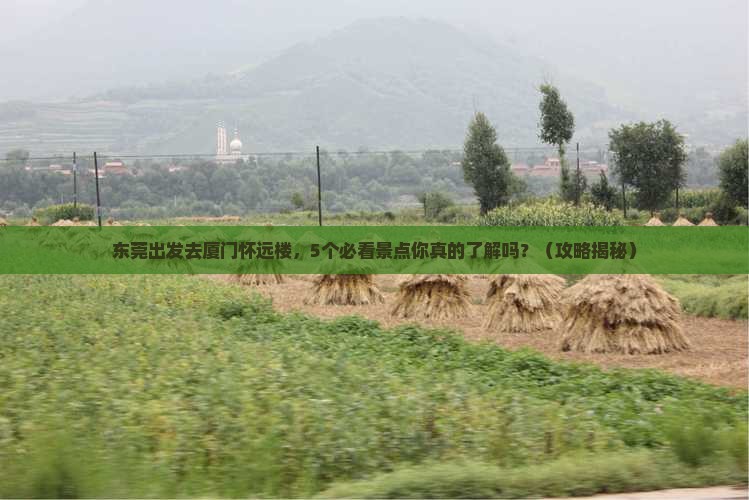 东莞去厦门怀远楼旅行社