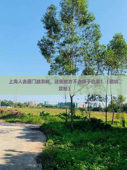 上海去厦门鼓浪屿必去地