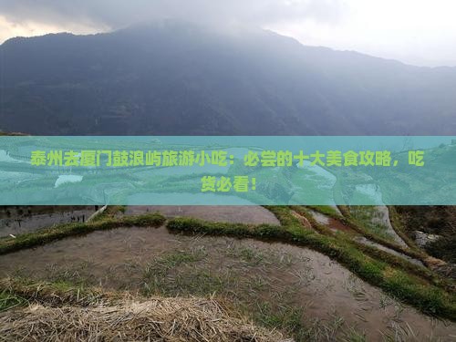 泰州去厦门鼓浪屿旅游小吃
