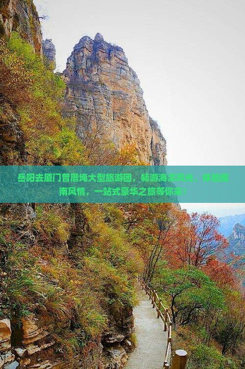 岳阳去厦门曾厝埯大型旅游团