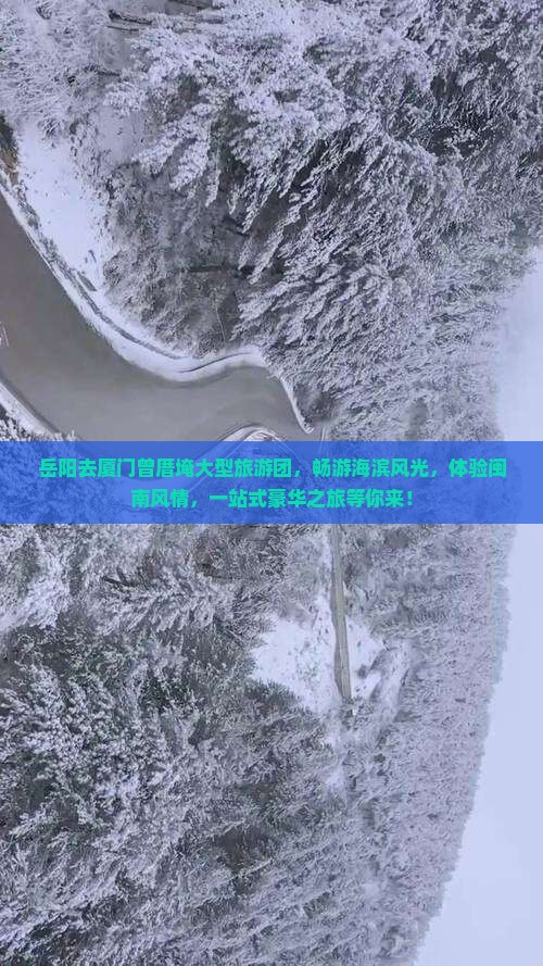 岳阳去厦门曾厝埯大型旅游团