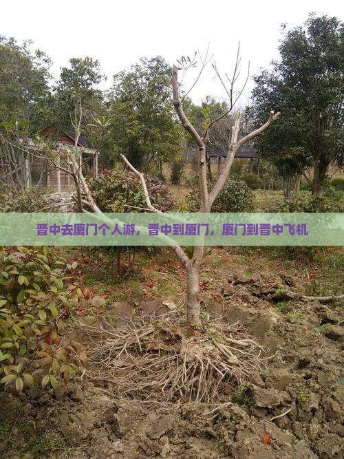 晋中去厦门个人游