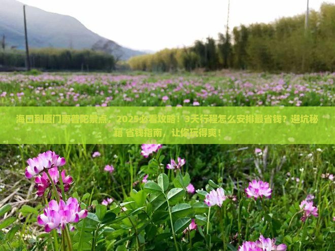海口到厦门南普陀景点