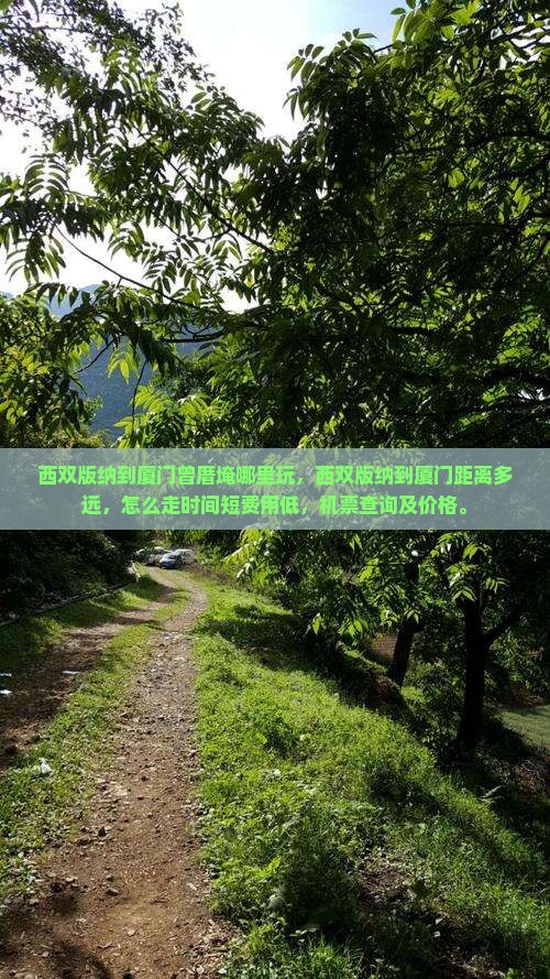 西双版纳到厦门曾厝埯哪里玩
