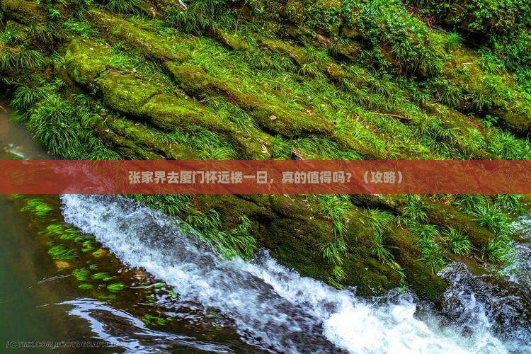 张家界去厦门怀远楼一日
