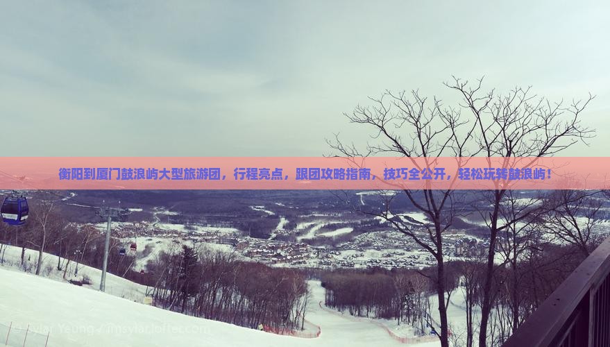 衡阳到厦门鼓浪屿大型旅游团