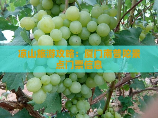 凉山去厦门南普陀门票