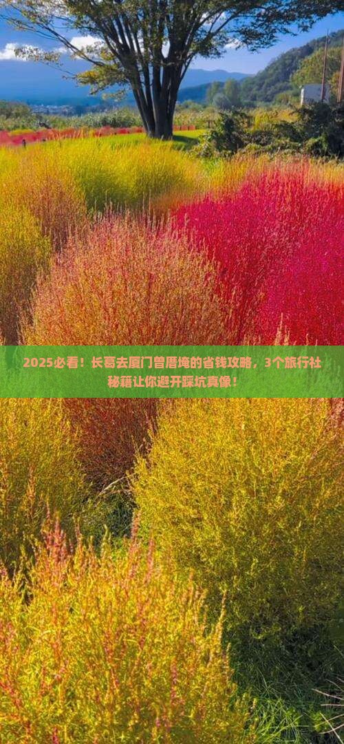 长葛去厦门曾厝埯旅行社