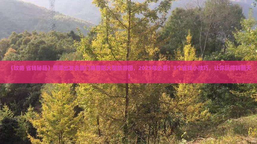 鹰潭去厦门南普陀大型旅游团