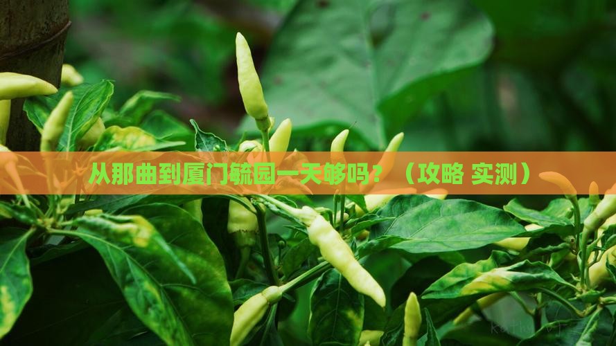 那曲到厦门毓园一日