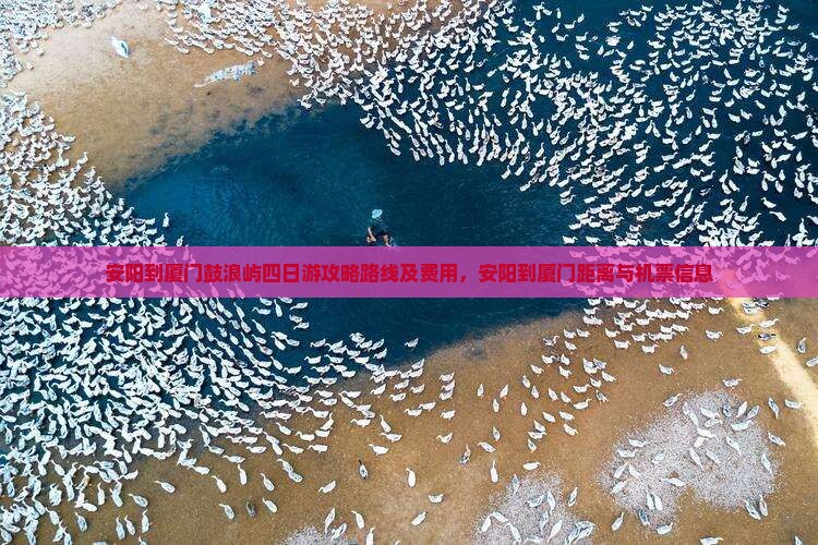 安阳到厦门鼓浪屿四日游