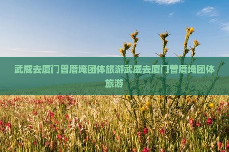 武威去厦门曾厝埯团体旅游