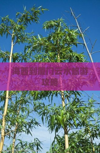 海西到厦门云水谣攻略