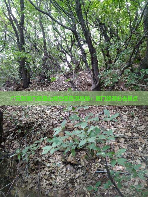 广元到厦门胡里山炮台四日游