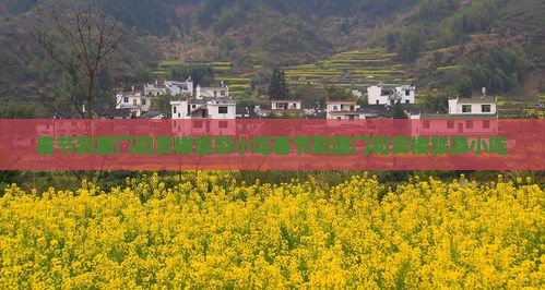 春节到厦门和贵楼旅游小吃